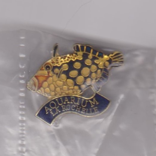 Aquarium La Rochelle pin