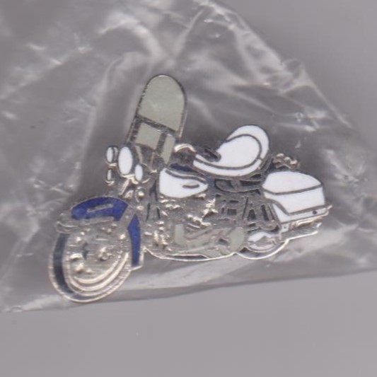 Harley Davidson pin